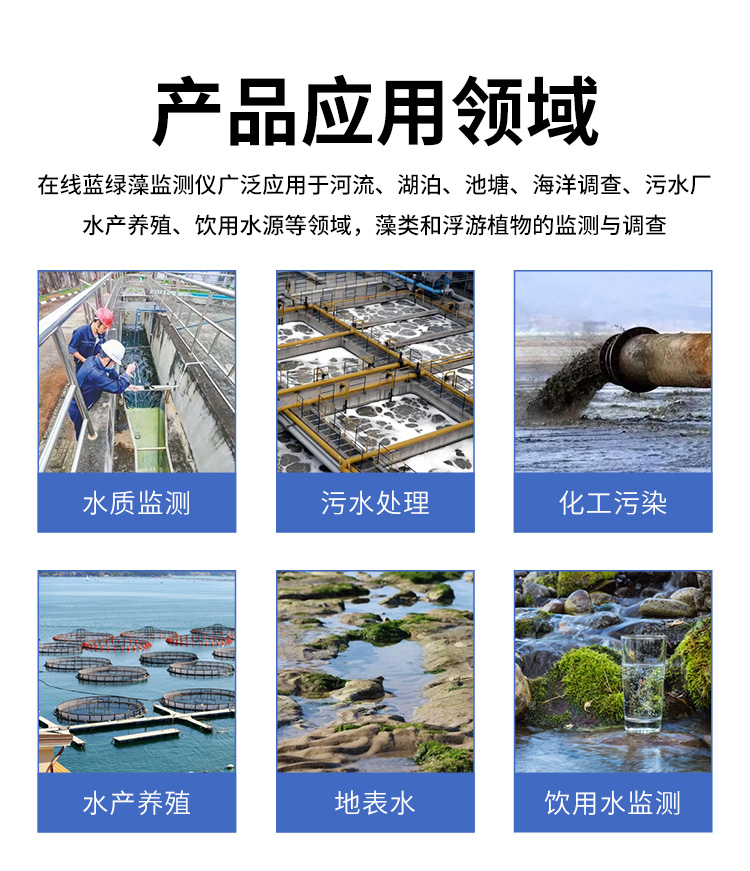 在线蓝绿藻监测仪